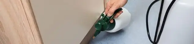 Bed bug exterminator treating baseboards and cracks with targeted spray in Allentown, PA
