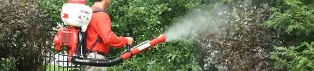 Mosquito control technician fogging shrubs and landscaping for mosquito treatment in Allentown, PA