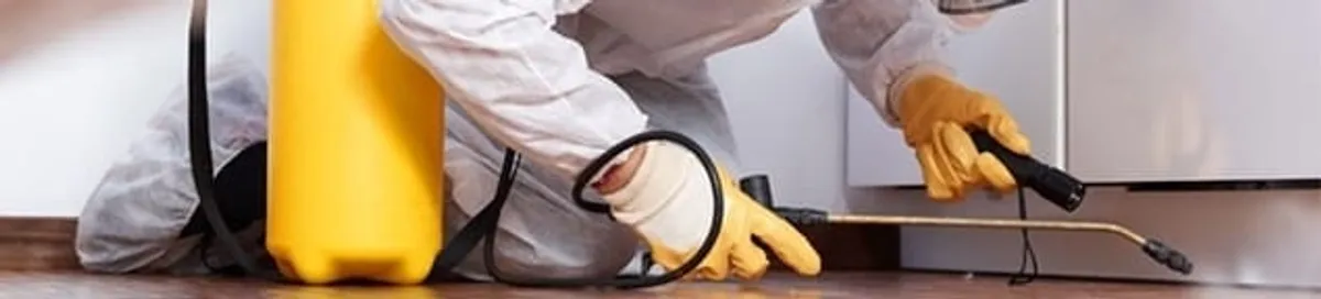 Roach exterminator treating cracks and crevices along kitchen baseboards in Allentown, PA