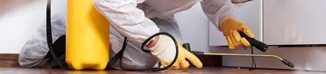 Roach exterminator treating cracks and crevices along kitchen baseboards in Allentown, PA