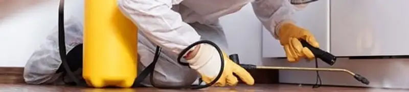 Roach exterminator treating cracks and crevices along kitchen baseboards in Allentown, PA