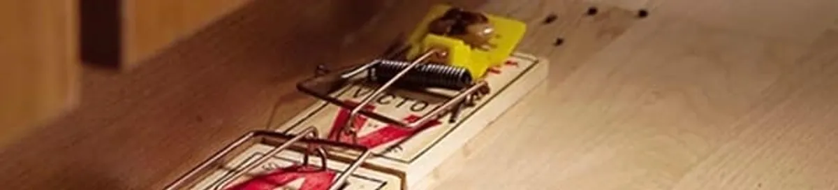 Rodent trap set indoors for rodent control and prevention in Allentown, PA
